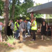 Img 6899