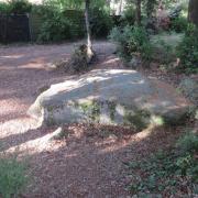 Img 6937