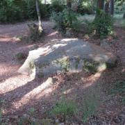 Img 6938