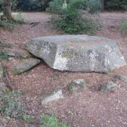 Img 6942