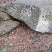 Img 6943