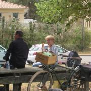 Img 6954