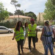 Img 6959