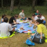 Img 6964