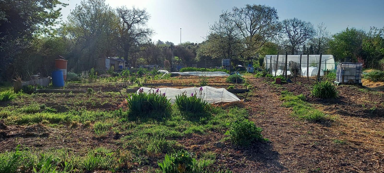 Photo d ensemble jardin